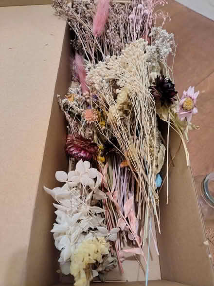 Photo of free Dried flowers and small glass vases (Acton Central W3) #3