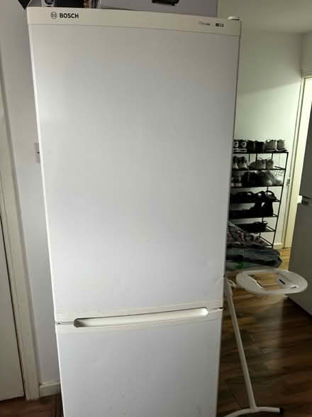 Photo of free Scrap Bosch fridge (Fifth park S4) #1