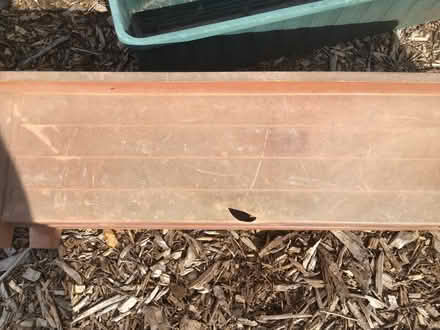 Photo of free Various garden troughs, small cold frame, grow bag trays (Presteigne LD8) #2