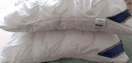 Photo of free Pair of pillows (Enfield EN2) #1