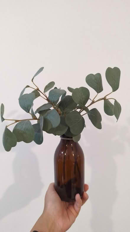 Photo of free Fake plant with bottle (BS16 2NU) #1