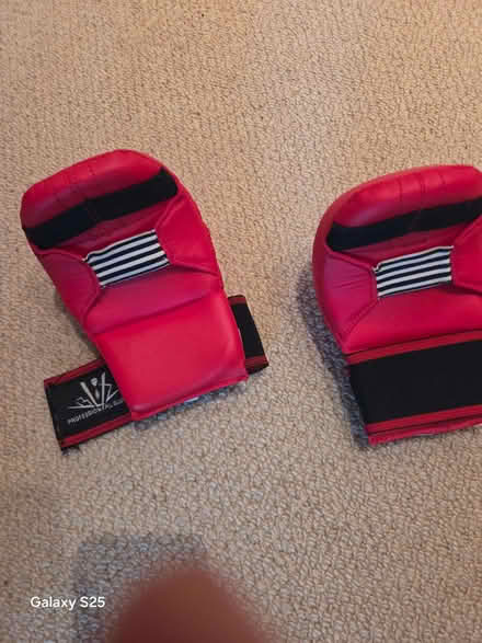 Photo of free Blitz Karate Sparring Gloves / Mitts – Red – Size XS (Frog Island LE4) #2