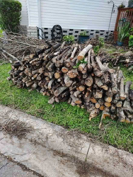 Photo of free firewood (Vero Palm Eststes community) #1