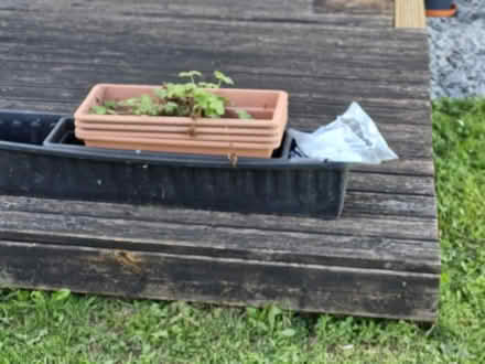 Photo of free Planters (Chaddesden DE21) #1