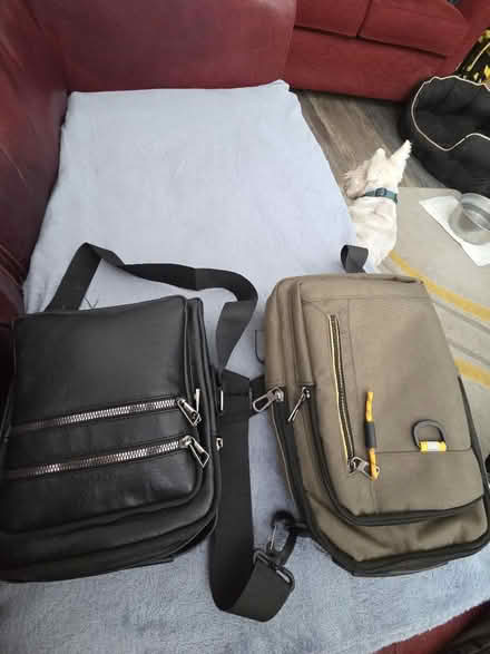 Photo of free 2x bags (East croydon CR0) #1