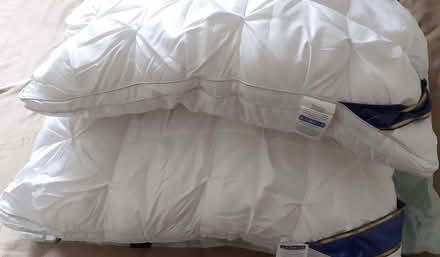 Photo of free Pair of pillows (Enfield EN2) #3