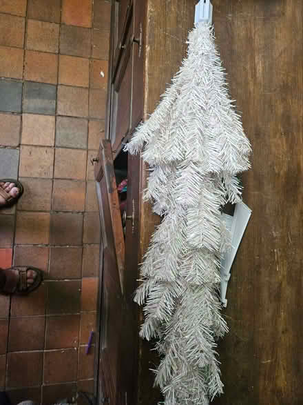 Photo of free Small xmas tree (Llanberis LL55) #1