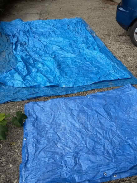 Photo of free 2 x 240x320 and 3 x 100x160 plastic tarps (Radstock BA3) #1