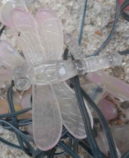 Photo of free solar-powered butterflies. (East Croydon CR0) #3