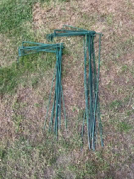 Photo of free Plant supports (OX11 South Moreton) #1