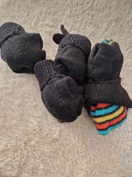 Photo of free Gloves (Juniper Green, EH14) #1