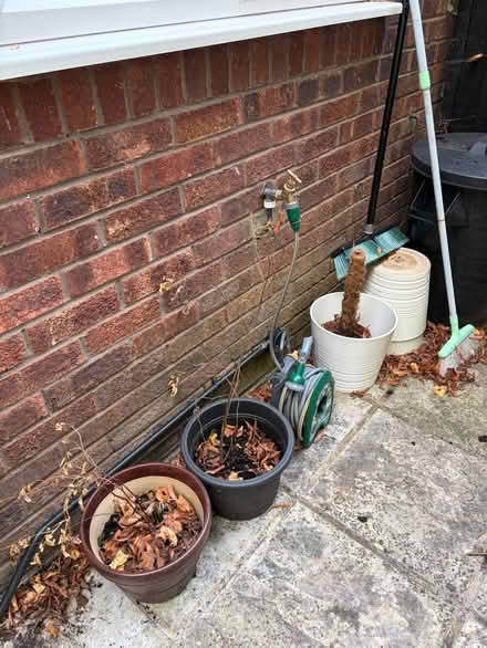 Photo of free Selection of Vases (Northwood HA6) #2