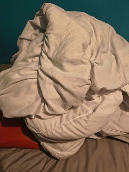 Photo of free King-size quilt (Herdings S14) #1