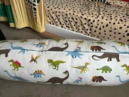 Photo of free Bolster cushion (Enfield) #2