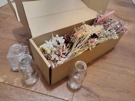 Photo of free Dried flowers and small glass vases (Acton Central W3) #1