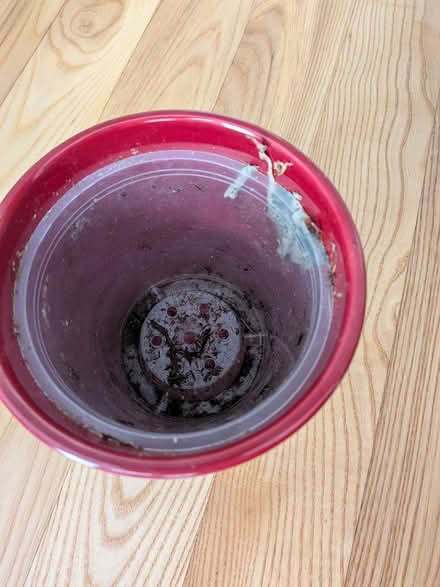 Photo of free red heart flower pot (Old Ottawa south) #2