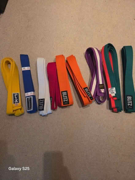 Photo of free 9 Martial Arts Belts – Karate / Judo / BJJ – Mixed Colours (Frog Island LE4) #1
