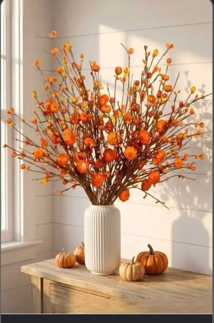 Photo of Fall decor (Meadowvale, Mississauga) #2