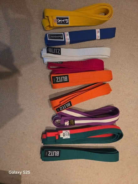 Photo of free 9 Martial Arts Belts – Karate / Judo / BJJ – Mixed Colours (Frog Island LE4) #2