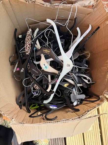 Photo of free Box of hangers (EN8) #1
