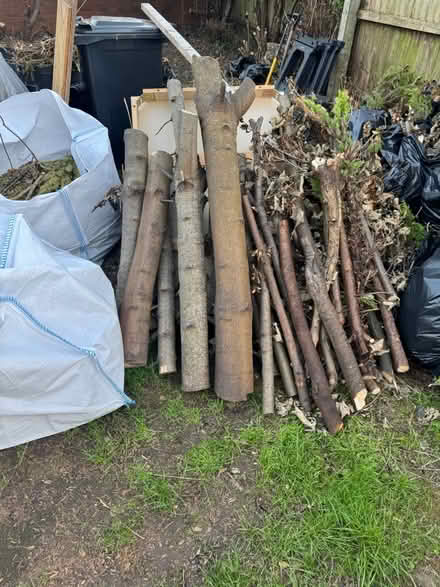 Photo of free Tree logs various sizes (Willenhall) #2