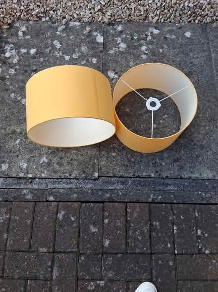 Photo of free Ceiling lamp shade & wood kindling (Perth PH1) #1