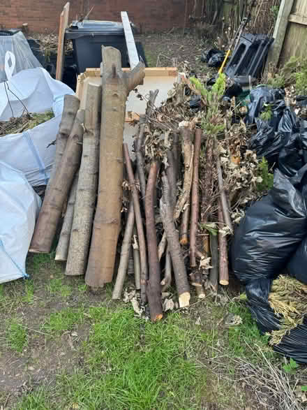 Photo of free Tree logs various sizes (Willenhall) #1