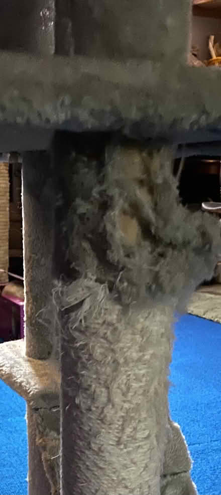 Photo of free Cat scratching post (Lancaster, Skerton LA1) #2