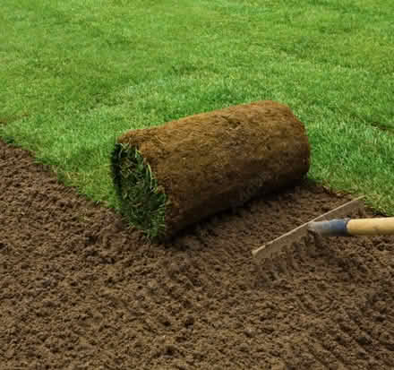 Photo of free Grass Turf - 8th October 11am (Cliffe BN7) #1