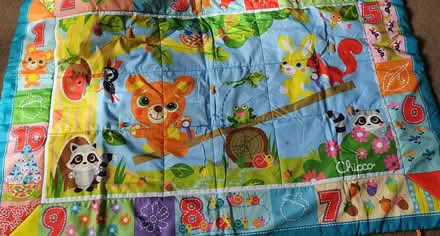 Photo of free Baby play mat (Stanstead Abbotts SG12) #1