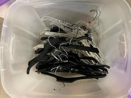 Photo of free Plastic Clothing Hangers (East Weymouth) #1