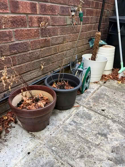 Photo of free Selection of Vases (Northwood HA6) #1