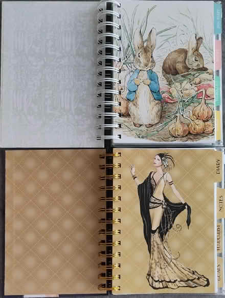 Photo of free 2026 Organiser diaries (Claverton BA2) #2