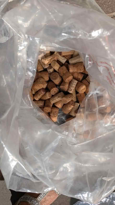 Photo of free Bag of corks (Old Basing RG24) #1