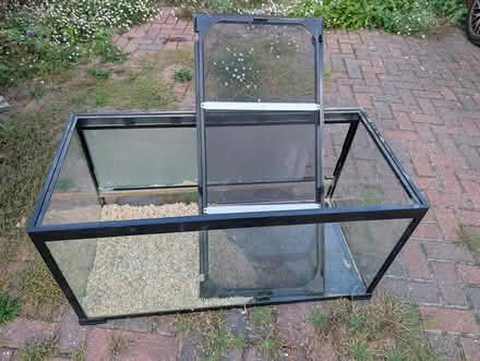 Photo of free Large tank with mesh lid (Faversham) #1