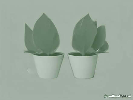 Photo of Small plastic plants pots (up to 6 inches) (Thatcham RG18) #1