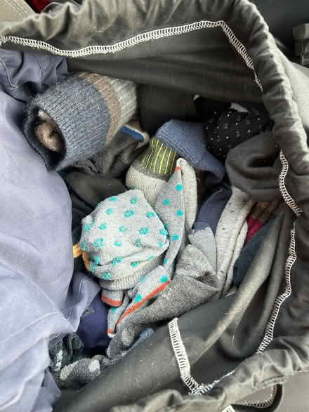 Photo of free Bag of men’s socks (Chichester (Parklands area)) #1
