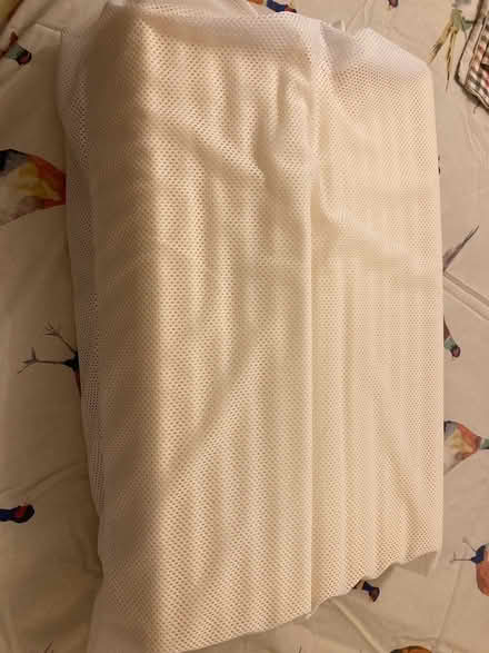 Photo of free Orthopaedic neck support pillow (Bookham KT23) #1