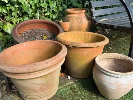 Photo of free Terracotta pots (Gosforth NE3) #2