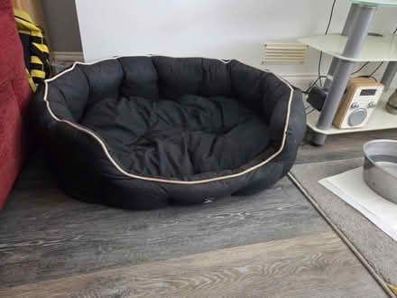 Photo of free Flexible dog bed (East croydon CR0) #1
