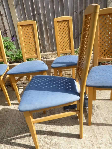 Photo of free Set of 6 Dining Chairs (Eves Corner CM0) #2