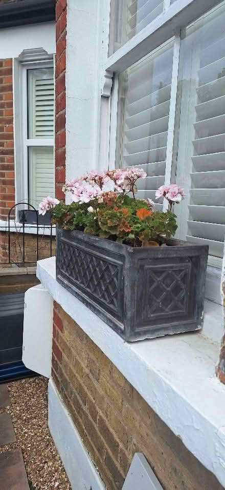 Photo of free Flower pot (Lion Gate TW9) #1