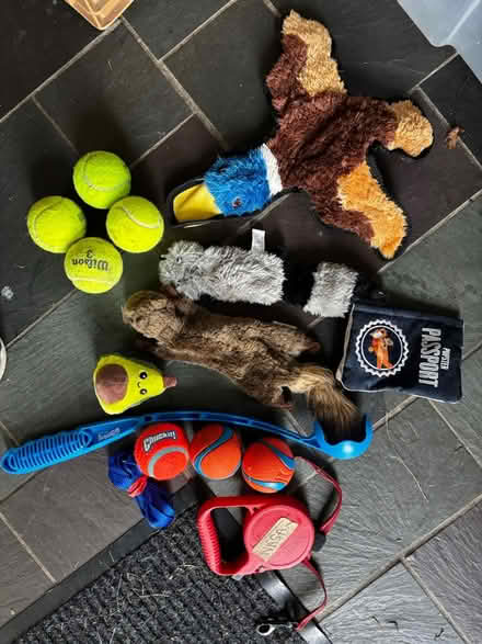 Photo of free Small dog leashes and toys (Hopewell Junction) #1