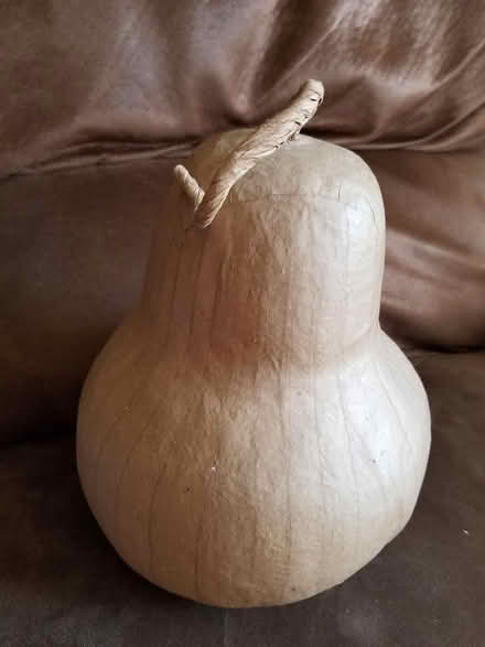 Photo of free Papier mache gourd (Centrepointe) #1