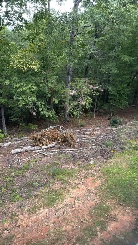Photo of free Red oak logs cured fire wood (Dahlonega) #3