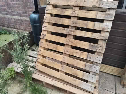 Photo of free Various pallets and pallet chair (Caister-on-Sea NR30) #1
