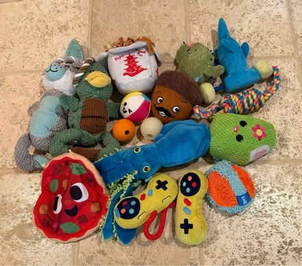 Photo of free Toys for med to large sized dogs (Oakland/Berkeley) #1