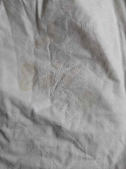 Photo of free Mattress protector (Brincliffe Edge S7) #2