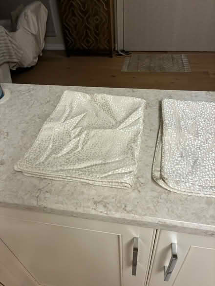 Photo of free 2 bed pillow covers (Westmont il) #2