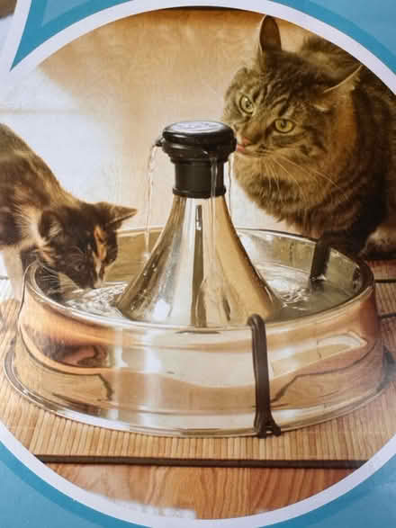 Photo of free Pet water fountain (Meldreth) #1